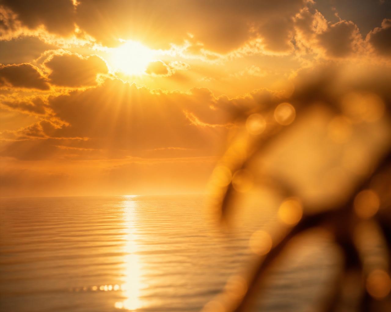 Amanhecer dourado, Despertar Diário